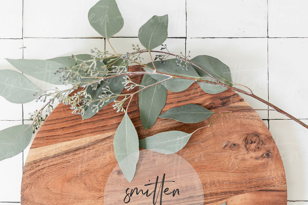 Eucalyptus Stock Photography, a Print Template by Smitten Photo & Design (Photo 3 of 3)
