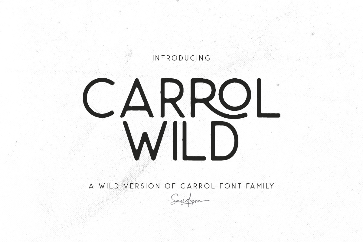 Carrol Wild - Modern Sans preview 2