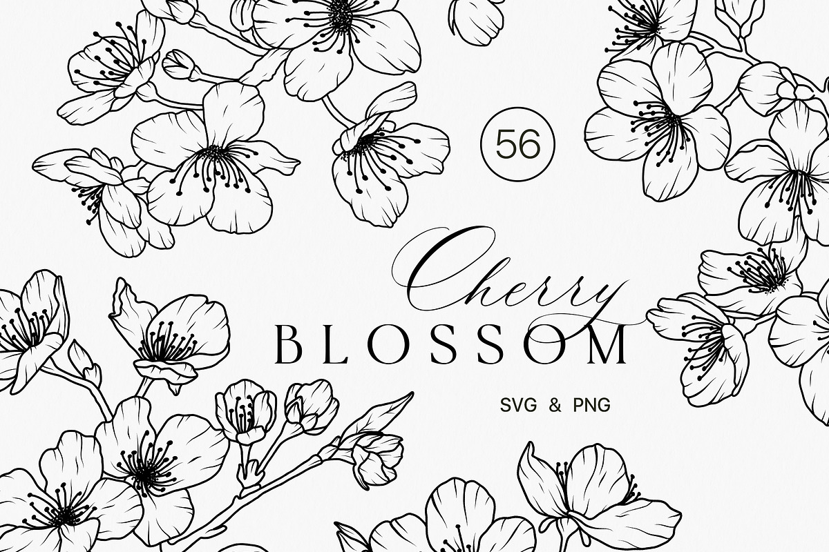 SAKURA - CHERRY blossom line art set, a Decorative Illustration by Madiwaso (Photo 8 of 8)