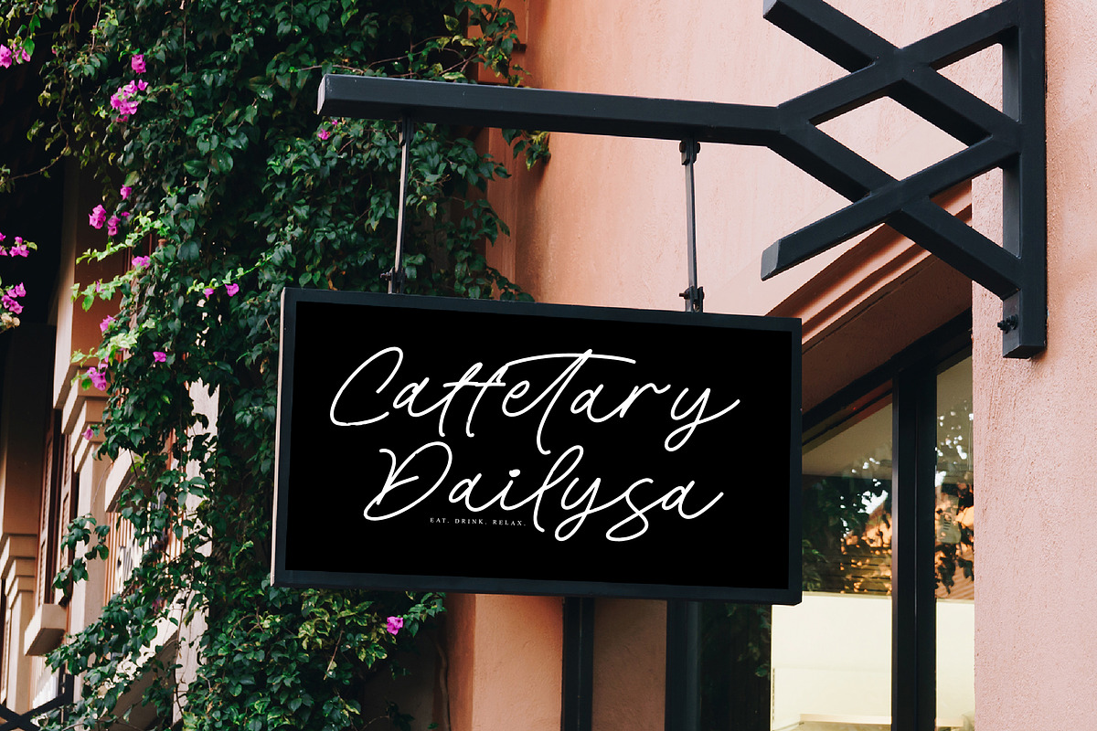 Coastal Dreams, a Script Font by operatype.co (Photo 5 of 15)