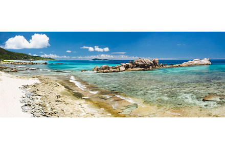 Old coral reef in the white sand, a Nature Photo by Igor Tichonow