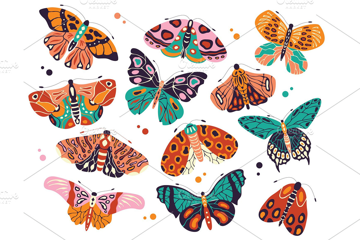 Spring Butterflies and Moths, a Pattern Graphic by Blue Lela Design (Photo 6 of 8)