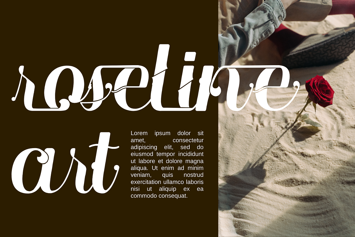 Language of Meaning - Elegant Font, a Serif Font by 177Studio (Photo 2 of 8)
