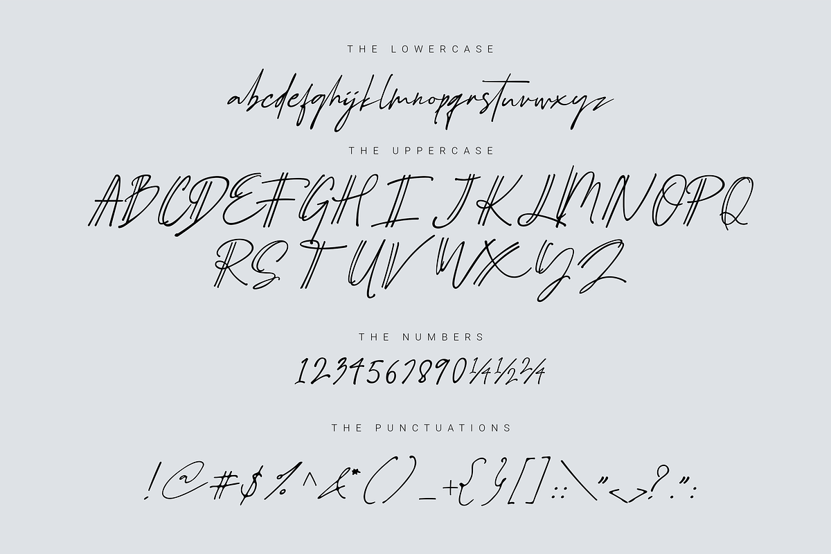 Schrödinger's | Signature Font, a Script Font by Ardana Creative (Photo 11 of 12)