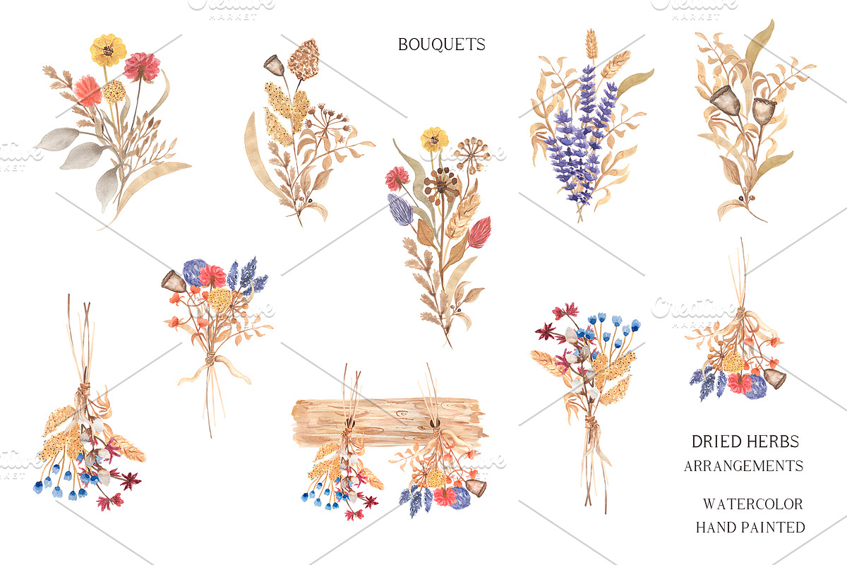 Dried Herbs and Wildflowers, an Illustration by MayaNavits (Photo 5 of 13)
