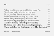 Kalfs Text sE, a Serif Font by silukEight (Thumbnail 9 of 10)