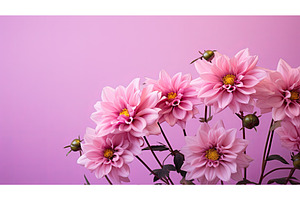 pale pink background flower ai, a Background Photo by pikepicture