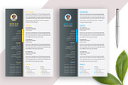 Resume Template / EPS,AI, a Resume Template by Annudesign (Thumbnail 1 of 7)