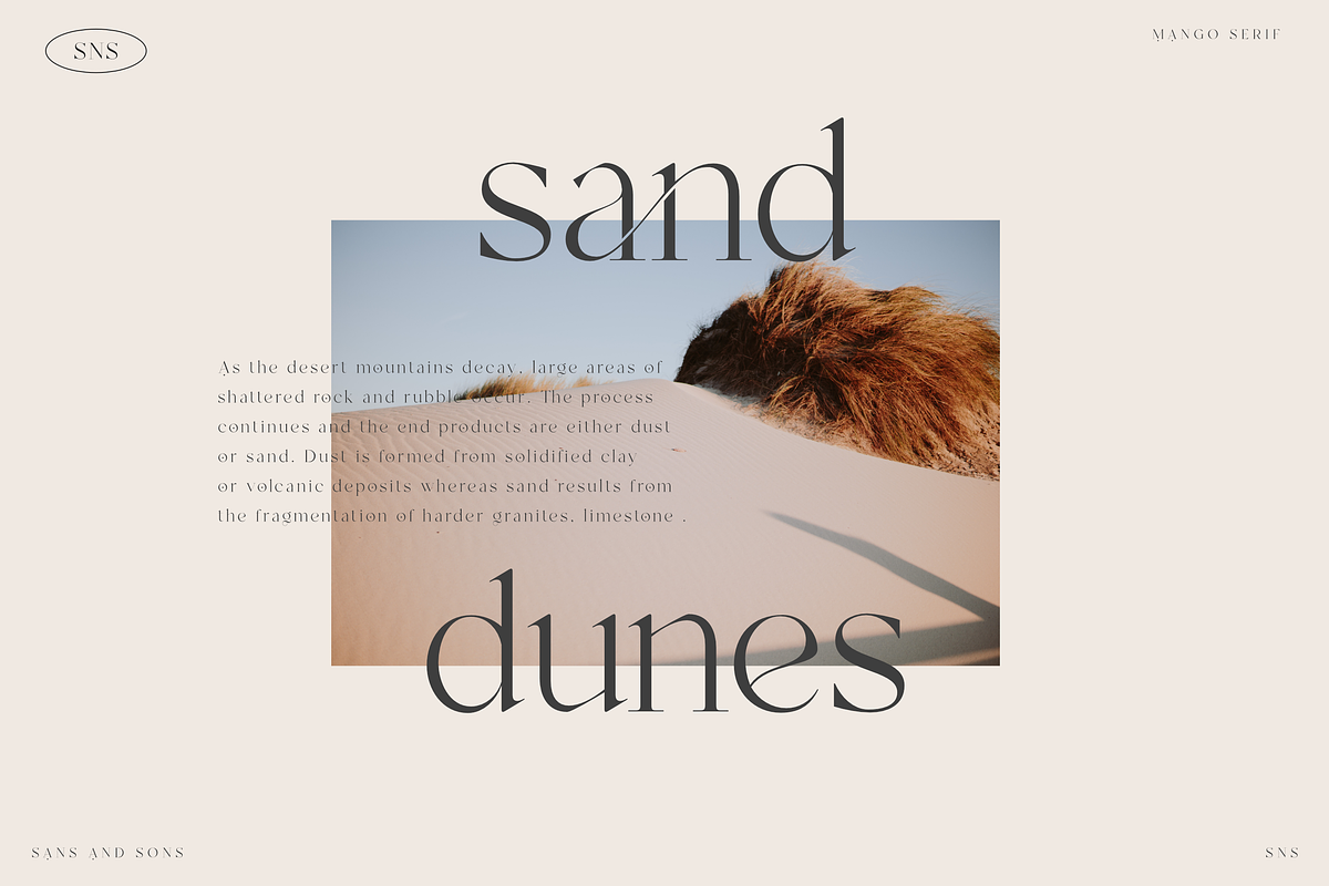 Mango - Modern Serif, a Serif Font by Sans & Sons (Photo 7 of 10)