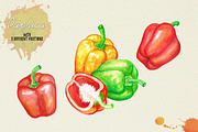 North American Herbs, a Food Illustration by Graphobia (Thumbnail 16 of 21)
