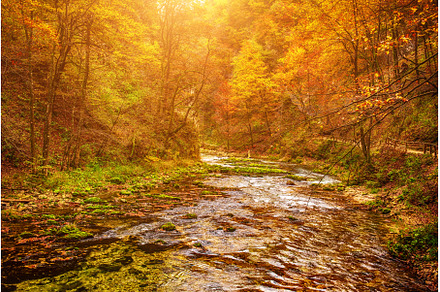 Vintgar gorge, Slovenia, a Nature Photo by Nature and travel