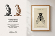 Dark Academia Autumn | Illustration, an Object Illustration by KetteCreate (Thumbnail 17 of 18)
