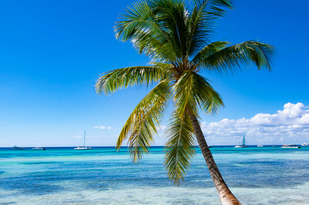 Tropical Beach in Catuano
