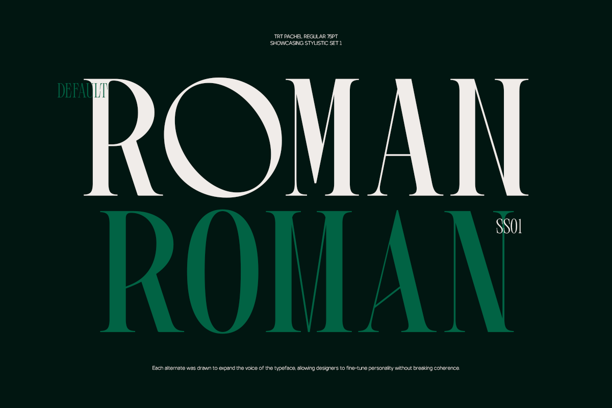 TRT Pachel Luxury Editorial Serif, a Serif Font by truetype (Photo 7 of 15)