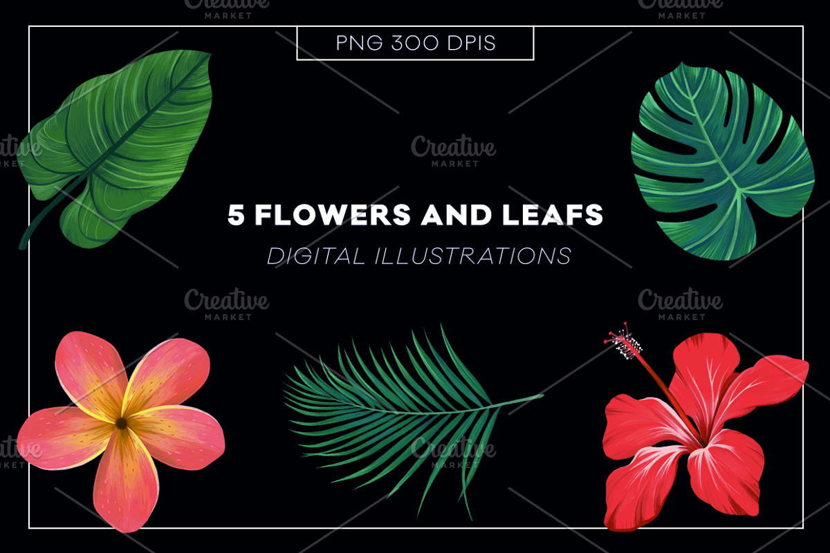 Tropical, an Illustration by Blanca Limon (Photo 2 of 7)