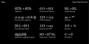 Sina, a Serif Font by Hoftype (Thumbnail 15 of 15)