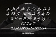Fiethori Duo Sans Expressive Script, a Script Font by Maulana Creative (Thumbnail 6 of 6)