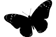 Butterfly Silhouette Bundle, an Object Graphic by Designer_Momina (Thumbnail 3 of 20)