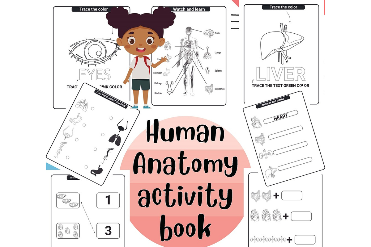 Human Anatomy Coloring Pages, an Education Illustration by Sourcedigi (Photo 1 of 2)