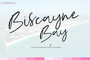 Flamingo Park + Bonus 10 Icons, a Script Font by PaperGlossCo (Thumbnail 2 of 6)