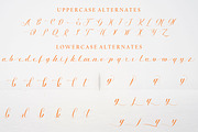 Autumn, a Script Font by Funtype (Thumbnail 8 of 9)