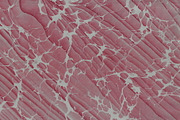 2 Hand Marbled Papers Moire, a Texture Graphic by Marblingdom (Thumbnail 2 of 3)