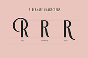 Berose, a Sans Serif Font by A.Budianto (Thumbnail 3 of 9)