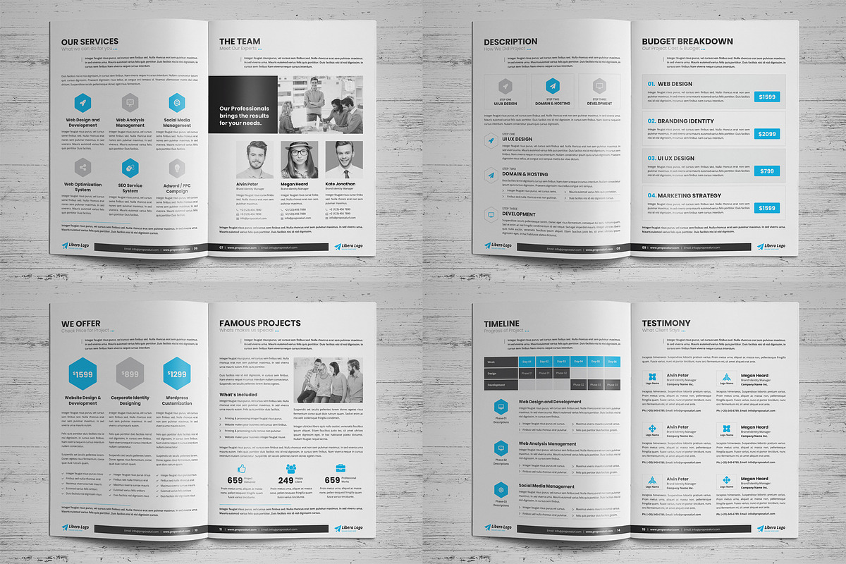 Project Business Proposal v3, a Brochure Template by Miyaji75 (Photo 14 of 18)