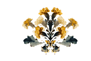 Heum Co. Botanical Inkblot Art, a Decorative Illustration by milatovar (Thumbnail 6 of 20)