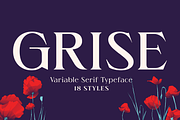 Grise - Variable Serif (18 Fonts), a Serif Font by VectorKiss GraphicsSupply (Thumbnail 1 of 18)