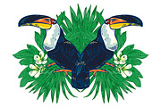 TOUCAN, an Animal Illustration by Tanya Akhmett (Thumbnail 11 of 11)