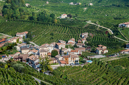 Rural landscape with wine valley