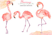 Flamingos and tropics Watercolor, an Illustration by Marina Ermakova (Thumbnail 3 of 13)