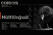 CORVUS Serif font, a Serif Font by Artistic & Unique (Thumbnail 3 of 15)