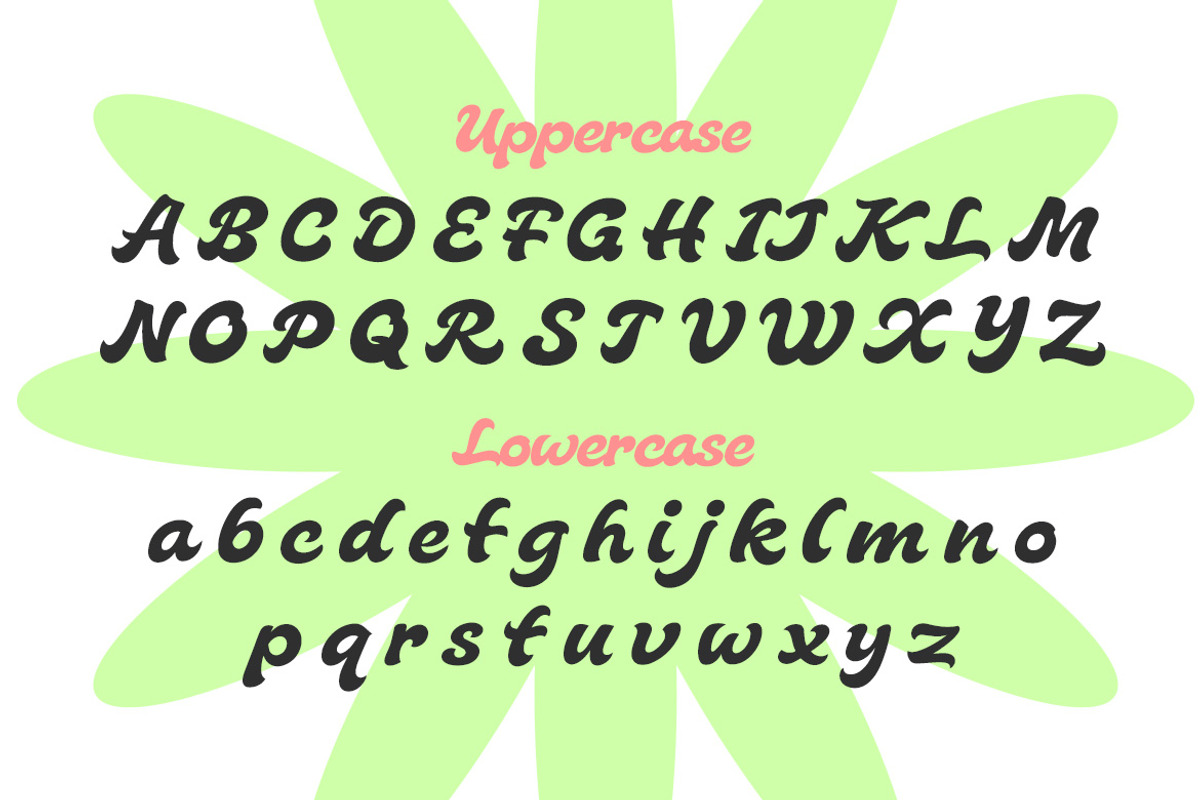 Jungle Funk – Bold Display Script, a Script Font by decographstud (Photo 8 of 9)
