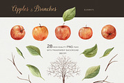 Apples and branches Watercolor set, an Illustration by NataliVA (Thumbnail 5 of 9)