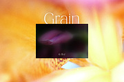 Dreamy Blurred Floral Backgrounds, a Background Graphic by dlinnaya (Thumbnail 3 of 9)