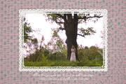 Print Language Vol.2 Textile & Dye, a Background Graphic by Lidberia (Thumbnail 2 of 9)