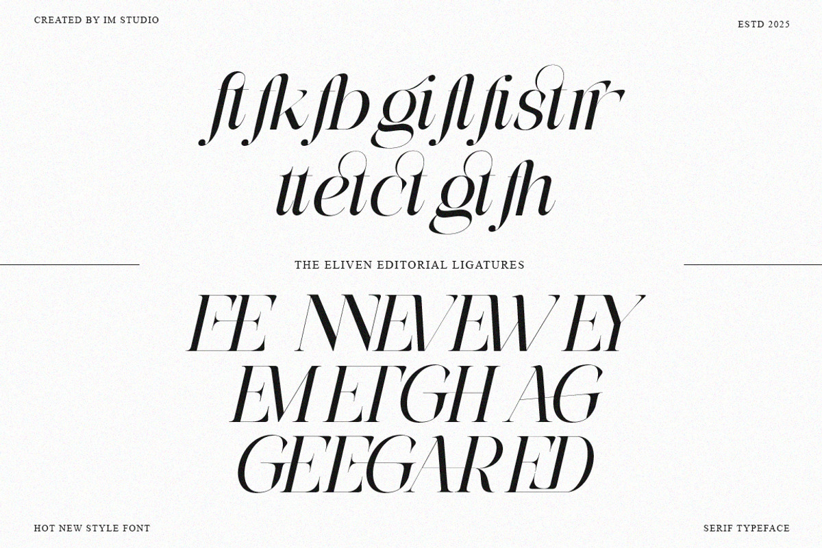 The Eliven Editorial | 7 Font Style, a Serif Font by IM Studio (Photo 13 of 15)