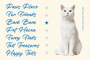 Feature Liften Modern Brush Font, a Script Font by stylishtype.co (Thumbnail 6 of 20)