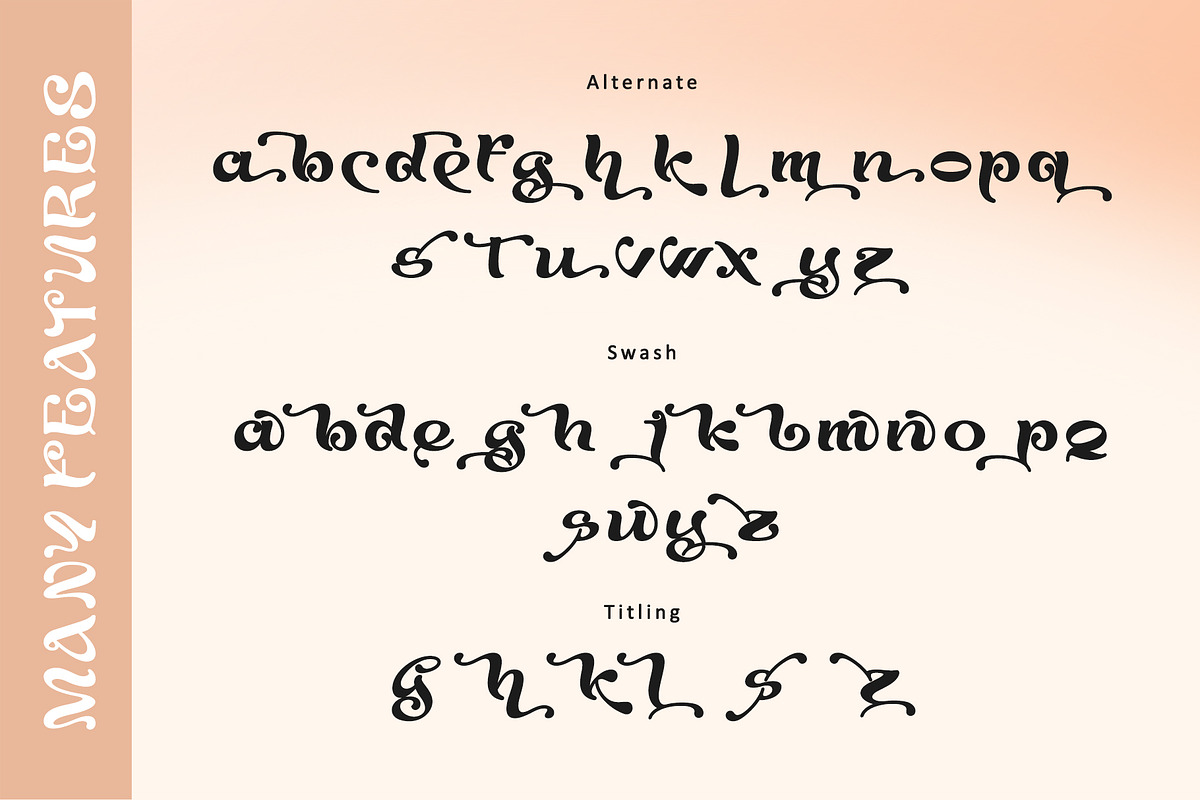 Agaste, a Serif Font by Letterara (Photo 10 of 11)