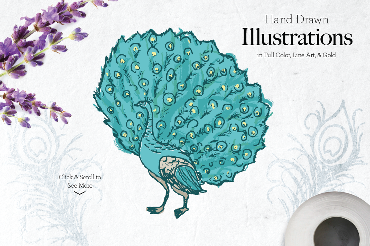 Fancy Peacock Collection, a Texture Illustration by DesignsByMissM (Photo 2 of 4)