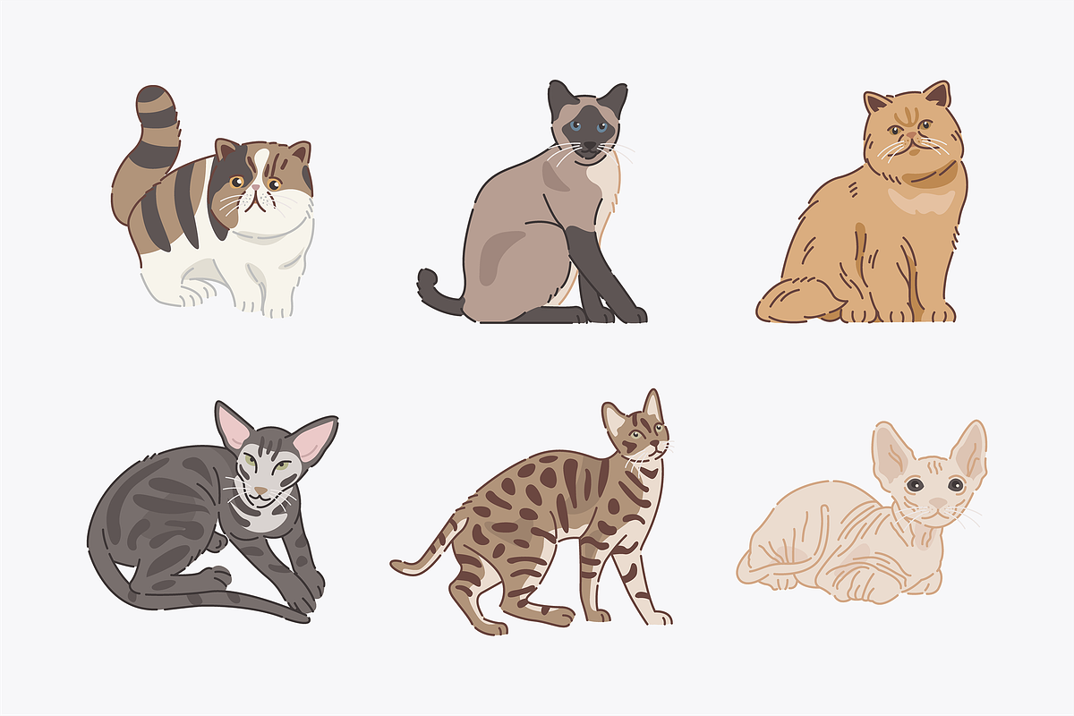 Cute Animals Bundle, an Object Graphic by Jump Studio (Photo 16 of 20)