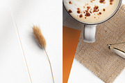 Book Mockups Bundle, a Books & Magazine Mockup by Custom Scene (Thumbnail 8 of 11)