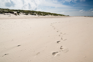 Walking the beach...