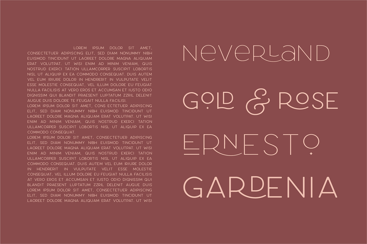 Larosa Sans Elegant Typeface, a Sans Serif Font by Kaligra.co (Photo 15 of 22)
