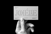 Dupioni Thin - Ligature Serif, a Serif Font by Silktype (Thumbnail 1 of 20)