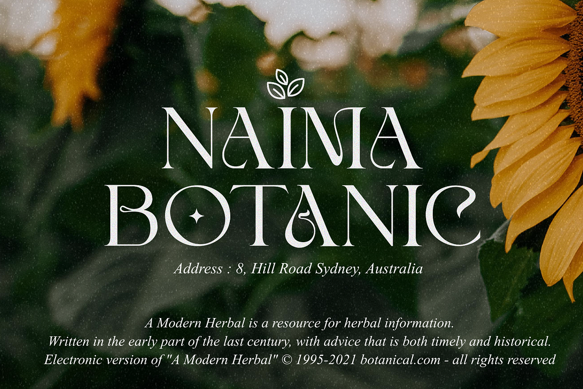 Karima A Modern Stylist Font, a Serif Font by zeenesia (Photo 13 of 20)