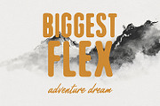 Fiethori Duo Sans Expressive Script, a Script Font by Maulana Creative (Thumbnail 3 of 6)