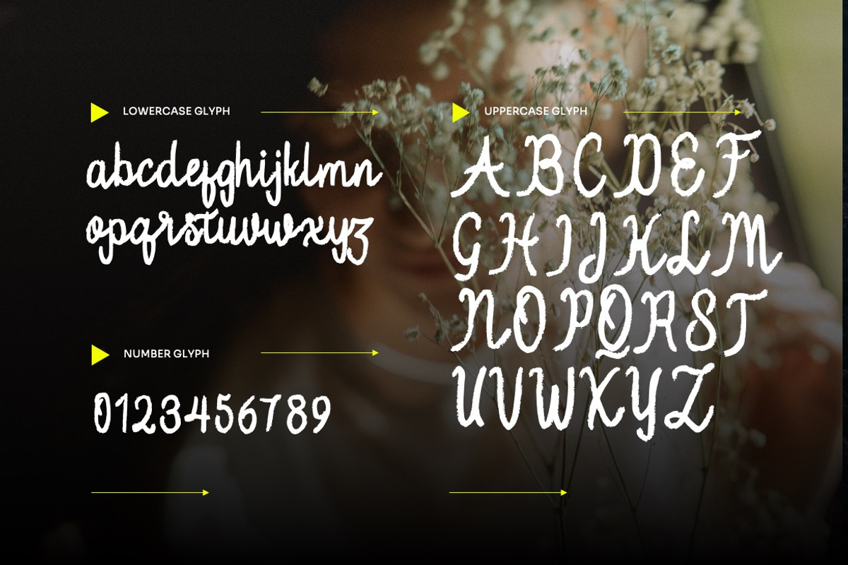 Oishu Taveny -Brush Handwritten Font, a Handwritten Font by Dhabee (Photo 7 of 12)